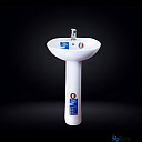 Раковина тюльпан