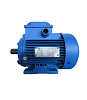 Электродвигатель АИР 100 S2 4/3000 1081 