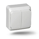 Выключатель двухклавишный BA10-002 10AX 250 B