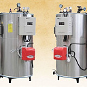 Вертикальный парогенератор VW 0.3-1.0-G(G/L)