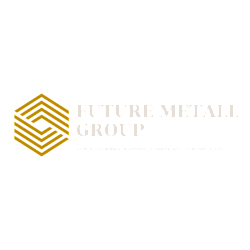 Логотип FUTURE METALLGROUP