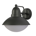 Уличный настенный светильник F5002 E27 Dark Grey (TEKLED) 252-03048