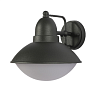 Уличный настенный светильник F5002 E27 Dark Grey (TEKLED) 252-03048