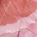 Плитка Novogres DECOR DEVON VISON