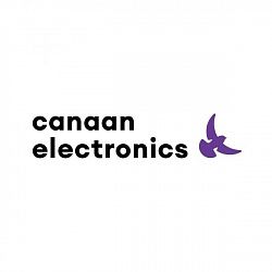 Логотип Canaan Electronics
