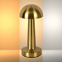 Светильник настольный, металл, античная латунь (TEKLED), артикул 130-03750