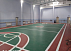Спортивное покрытие, Sanfa Sportline