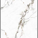 Керамогранит 120х120 матовый Модель: 1595с