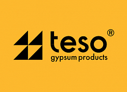Логотип teso