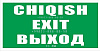 Индикаторное табло на жёсткой основе "Выход" 300×30×150 мм
