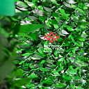 Листовой экозабор 1м сетка с листьями