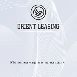 Логотип ORIENT AUTO