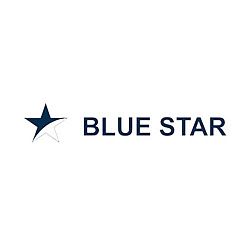 Логотип Blue Star Group
