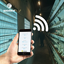 Вентиляционное оборудование с дистанционным управлением для кур-несушек