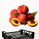 Ящики 400х300х80