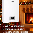 Одноконтурный котел FITZMAN 32кВт