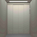 Больничный (медицинский лифт)