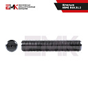 Шпилька ASME B18.31.2