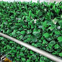 Декоративное ограждение с зелёными листьями