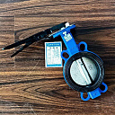 Затвор дисковый поворотный (32ч1р) ду100 ру16