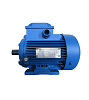 Электродвигатель АИР 100 S2 4/3000 2081 