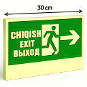 Светонакопительная табличка CHIQISH / EXIT / ВЫХОД
