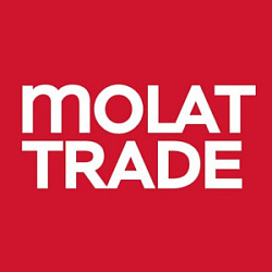 Логотип STEEL EXPERTS