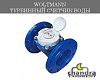 Счетчики холодной воды турбинные W-1 DN 80 Турция (Baylan)