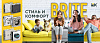 Розетки Brite