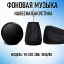 Навесная акустика ТН-02D 30 Вт 100 В/8 Ом