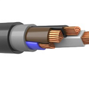 Силовой кабель на напряжение 660 В с медной жилой, с пластмассовой изоляцией и ПВХ оболочкой ВВГнг 4х50-1 
