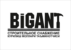 Логотип BigAnt