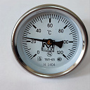 Термометр ТБП 63/50/ТЗ-(0-120)С