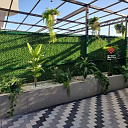 Eco Zabor / Эко Забор / Yashil Zabor Setka