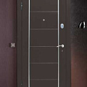 Двери. Входные двери. Металлические двери