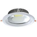 Светильник Lighting Fixture DOWNLIGHT LED AVENA COB 30W 5000K(TS) 165-15548