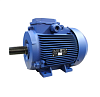 Электродвигатель АИР 63 В4 0,37/1500 2081 