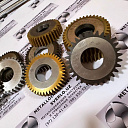 Долбяк чашечный