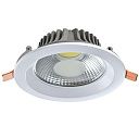 Светильник Lighting Fixture DOWNLIGHT LED AVENA COB 12W 5000K(TS) 165-15544