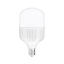 Лампочка TORCH-100W