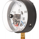 Манометры электроконтактные ДМ2005ф IP54