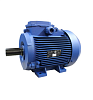 Электродвигатель АИР 80 В6 1,1/1000 2081