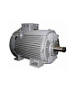 Электродвигатель 4MTH 411-6 22/1000 IM1001