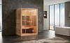 Инфракрасная дровяная сауна FP-1805 140х100