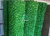 Яшил Суний Сетка Эко Забор Декоратив Девор Ekozabor Setka Green Wall