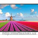 Телевизор LG 43LJ610V Smart TV