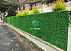 Яшил Суний Сетка Эко Забор Декоратив Девор Ekozabor Setka Green Wall