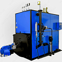 Паровой котел промышленный, производительность - 1 тонна