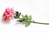 Искусственный цветок Dahlia 77 см