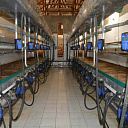 Доильный зал 100% Европа Б/У